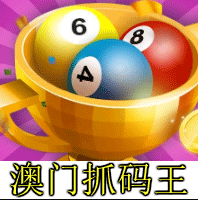 新澳门网站4